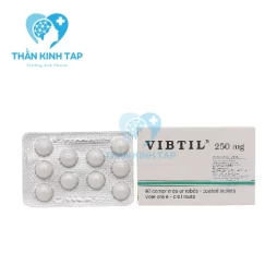 Vibtil 250mg - Thuốc hỗ trợ các rối loạn tiêu hóa